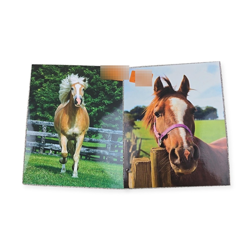 Top Flight Horse Pocket Folders Lot of 2 Equestrian 3-Hole School New
